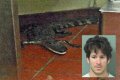Florida Man Throws Crocodile In Drive Thru